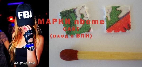 гашик Алексеевка