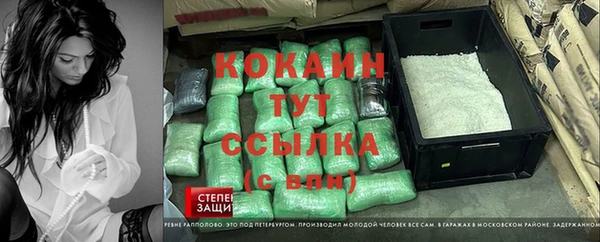 гашик Алексеевка