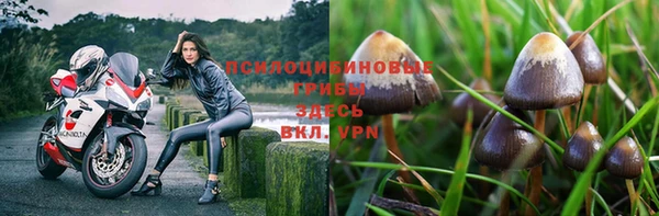 соль ск Нязепетровск